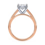 lm-preview|scottie-hidden-halo-cathedral-solitaire-setting|tt-rose|oval