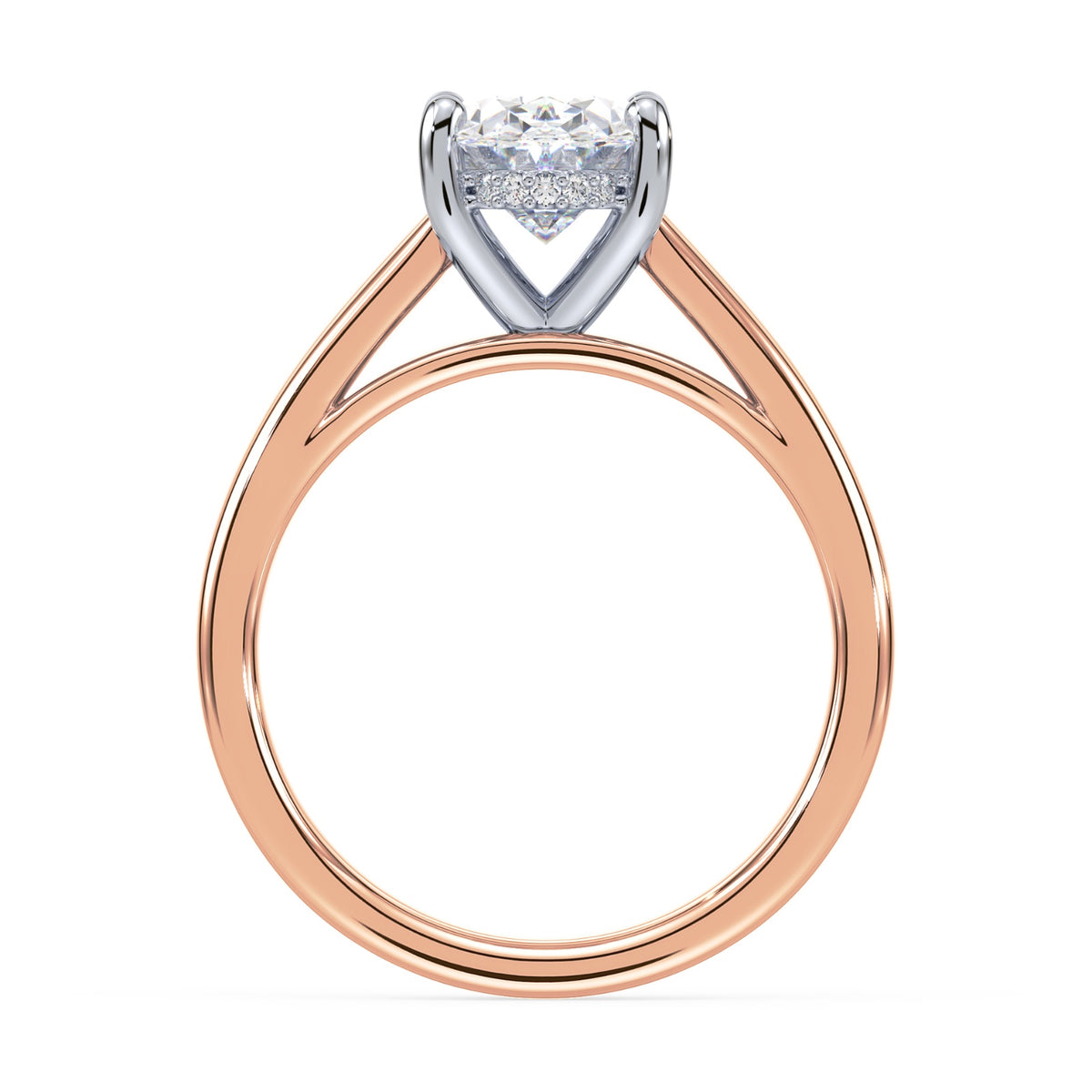 lm-preview|scottie-hidden-halo-cathedral-solitaire-setting|tt-rose|oval