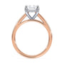 lm-preview|scottie-hidden-halo-cathedral-solitaire-setting|tt-rose|radiant