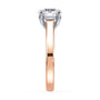 lm-preview|scottie-hidden-halo-cathedral-solitaire-setting|tt-rose|round