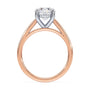 lm-preview|scottie-hidden-halo-cathedral-solitaire-setting|tt-rose|round