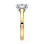 lm-preview|scottie-hidden-halo-cathedral-solitaire-setting|tt-yellow|oval