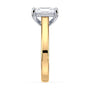 lm-preview|scottie-hidden-halo-cathedral-solitaire-setting|tt-yellow|radiant