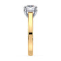 lm-preview|scottie-hidden-halo-cathedral-solitaire-setting|tt-yellow|round
