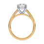lm-preview|scottie-hidden-halo-cathedral-solitaire-setting|tt-yellow|round