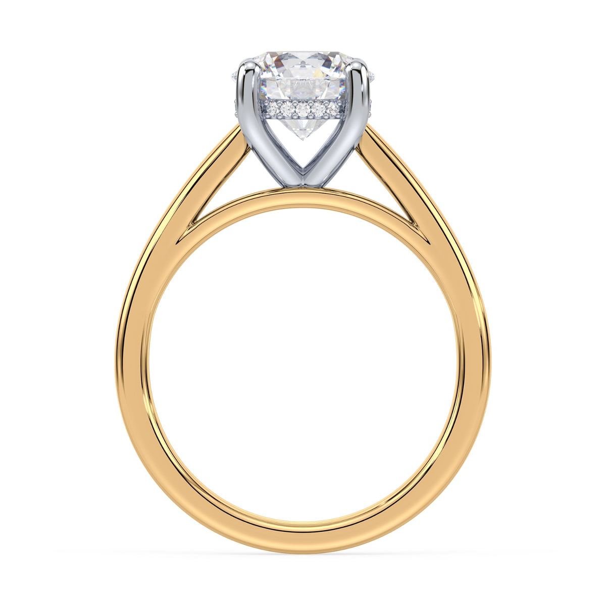 lm-preview|scottie-hidden-halo-cathedral-solitaire-setting|tt-yellow|round