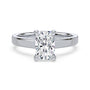 lm-preview|scottie-hidden-halo-cathedral-solitaire-setting|white|elongated-cushion