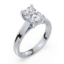 lm-preview|scottie-hidden-halo-cathedral-solitaire-setting|white|elongated-cushion