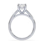 lm-preview|scottie-hidden-halo-cathedral-solitaire-setting|white|elongated-cushion
