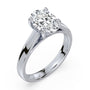 lm-preview|scottie-hidden-halo-cathedral-solitaire-setting|white|oval