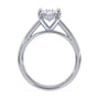 lm-preview|scottie-hidden-halo-cathedral-solitaire-setting|white|oval