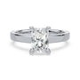 lm-preview|scottie-hidden-halo-cathedral-solitaire-setting|white|radiant