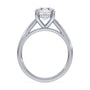 lm-preview|scottie-hidden-halo-cathedral-solitaire-setting|white|round