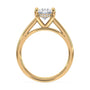 lm-preview|scottie-hidden-halo-cathedral-solitaire-setting|yellow|oval