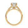 lm-preview|scottie-hidden-halo-cathedral-solitaire-setting|yellow|pear
