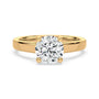 lm-preview|scottie-hidden-halo-cathedral-solitaire-setting|yellow|round