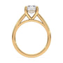 lm-preview|scottie-hidden-halo-cathedral-solitaire-setting|yellow|round
